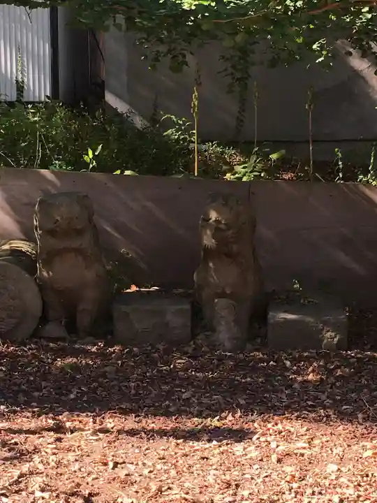 住吉神社の狛犬