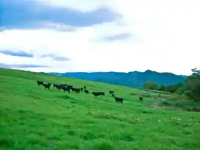 御料地神社(北海道)