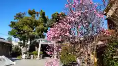 小村井 香取神社の庭園