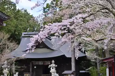 冨士御室浅間神社の本殿・本堂