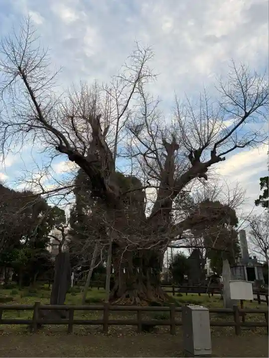 飯香岡八幡宮(千葉県)