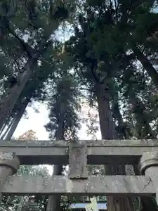 大宮温泉神社(栃木県)(2023年02月07日(火) 07時36分40秒投稿)