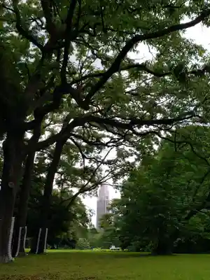 明治神宮(東京都)