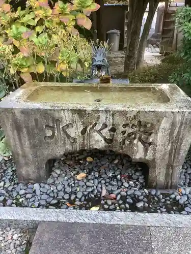 善徳寺の手水