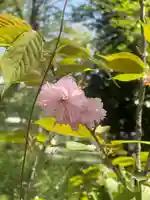 上小倉神社(和歌山県)