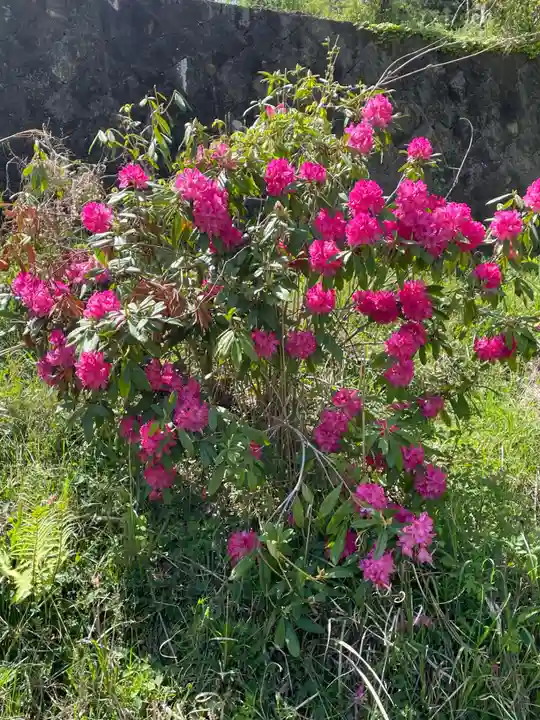 天台宗 五大山 白毫寺(兵庫県)