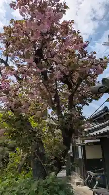 乘願院(京都府)