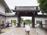 知恩院の山門・神門