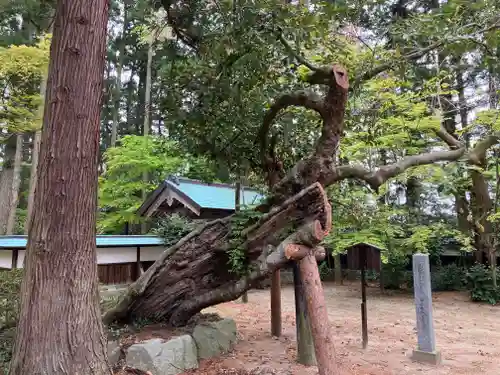 乙寳寺(新潟県)