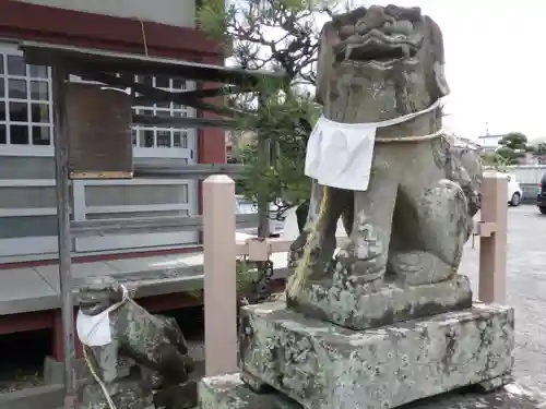 住吉神社の狛犬