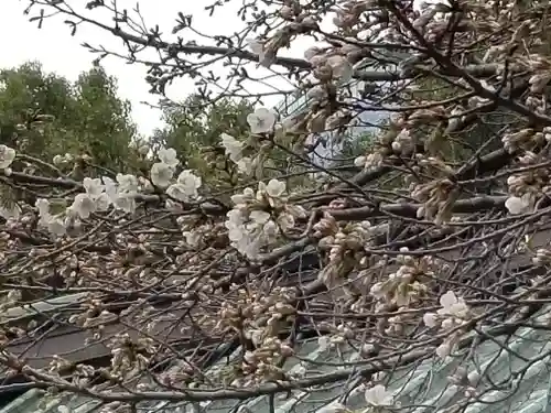 金王八幡宮の自然