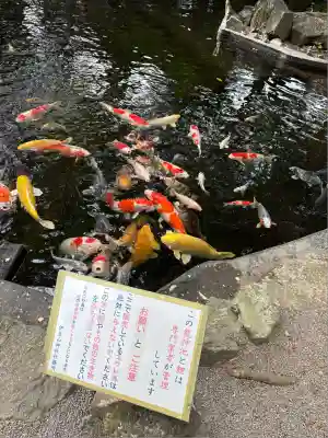 伊豆山神社(静岡県)