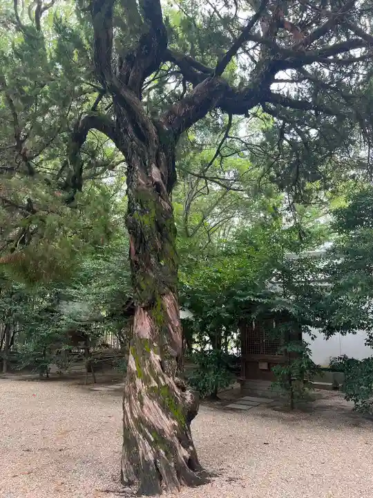 野々宮神社(大阪府)