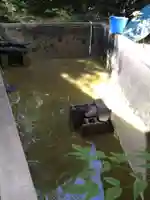 石内のお大師さん 金剛院(広島県)