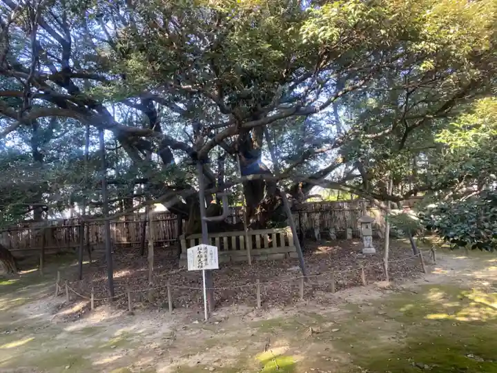 大樹寺(松安院大樹寺)(愛知県)