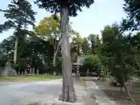 白山神社の自然