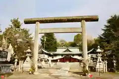 濃飛護國神社の鳥居