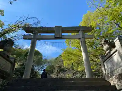 國分八幡宮(香川県)