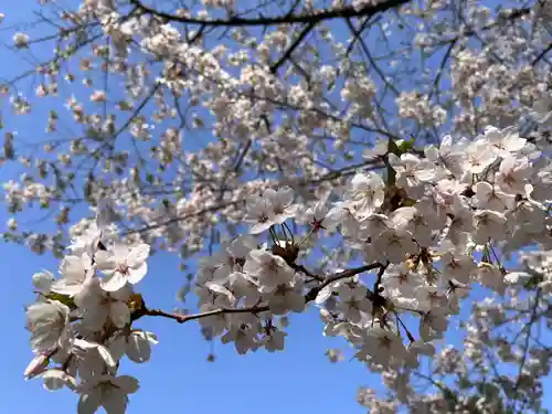 多賀神社の自然