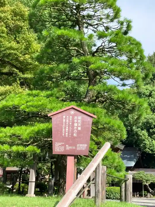 出水神社(熊本県)