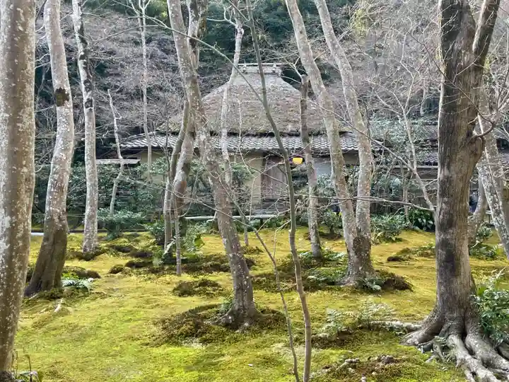 祇王寺(京都府)
