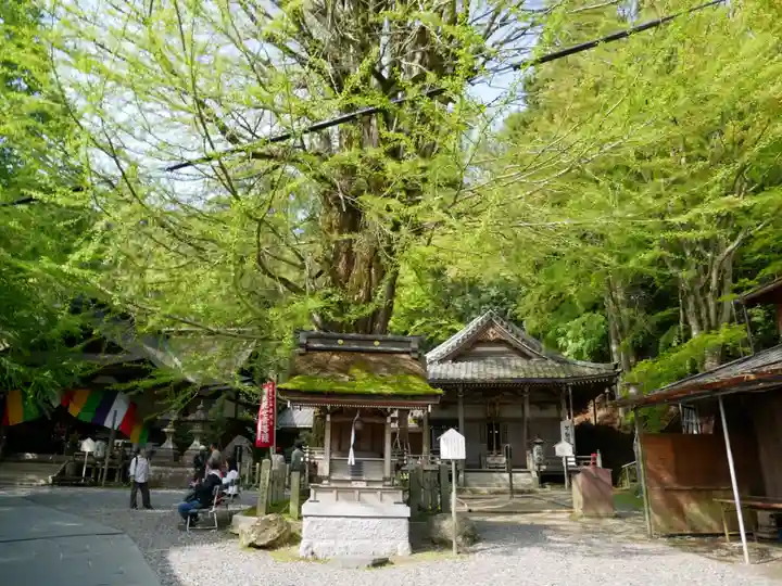 正法寺の本殿・本堂