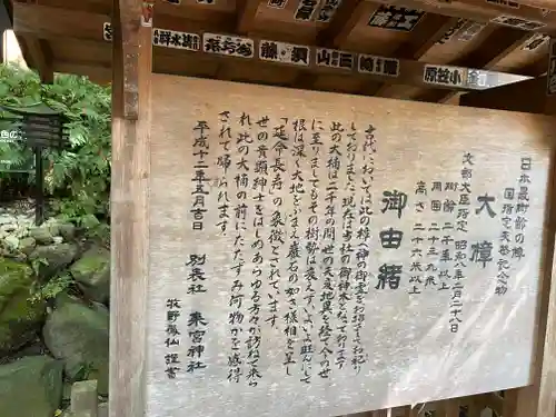 來宮神社(静岡県)