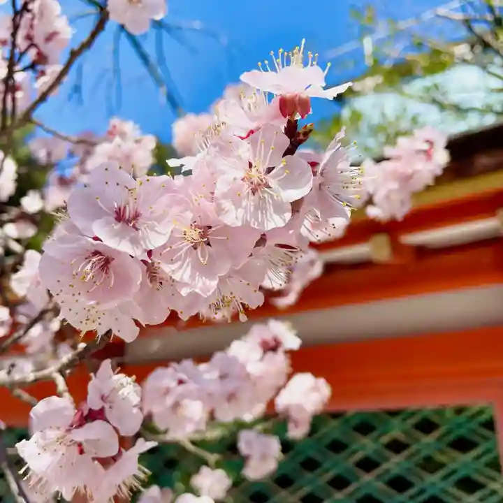 香椎宮(福岡県)