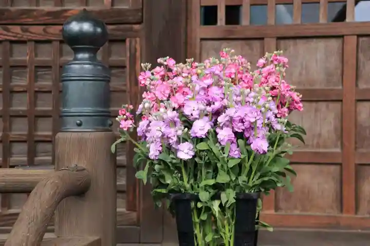 阿邪訶根神社のその他建物