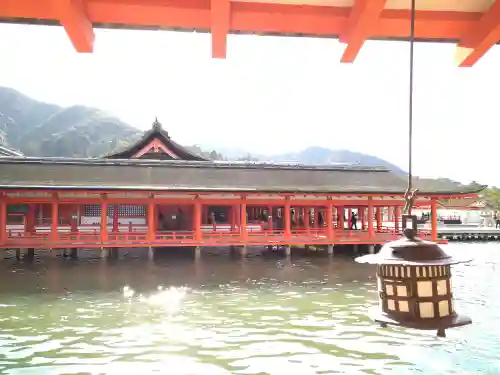 厳島神社の建物その他