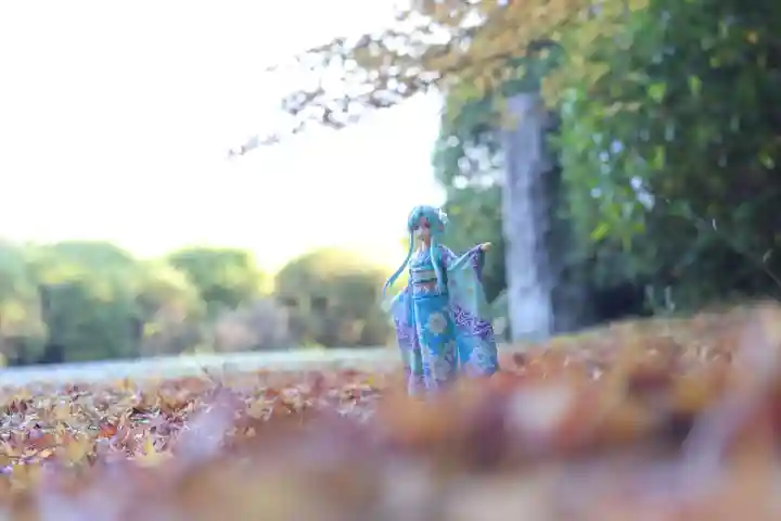 隨心院(随心院)(京都府)