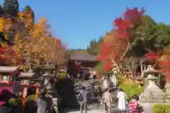 鞍馬寺の景色