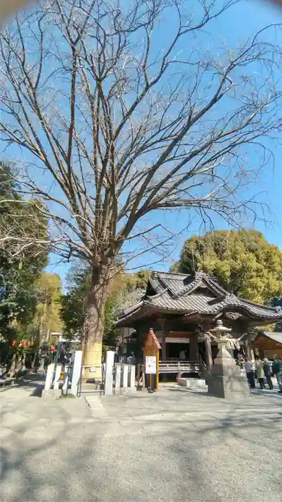 田無神社(東京都)