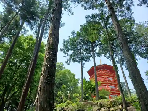 金乗院放光寺のその他建物