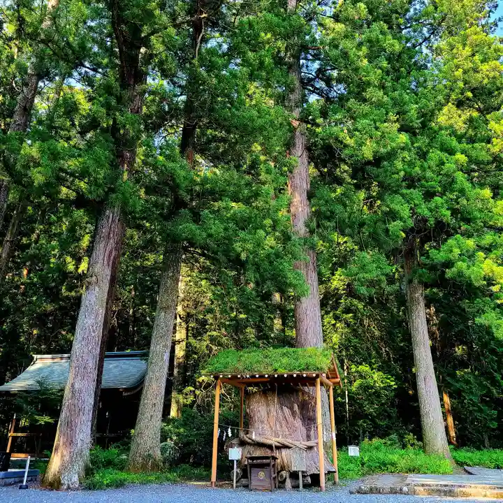 小國神社(静岡県)