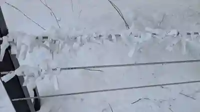 眞久寺のおみくじ