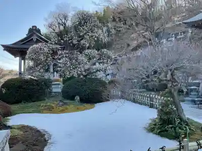 龍泰院(茨城県)