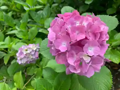 御裳神社の自然