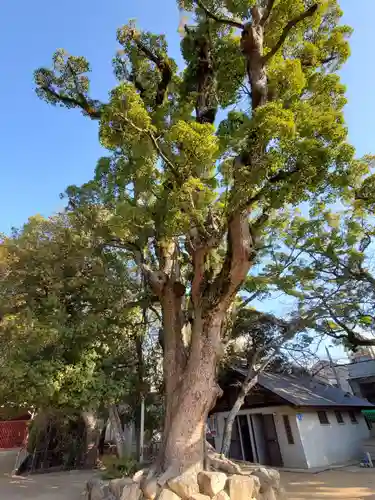 長田神社の自然