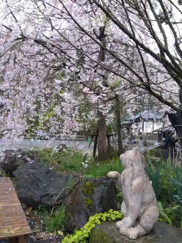 御誕生寺（猫寺）(福井県)