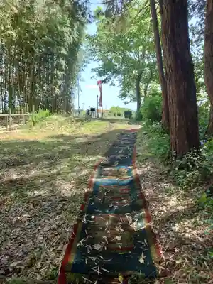 中将姫(神奈川県)