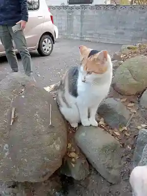 恵林寺(山梨県)