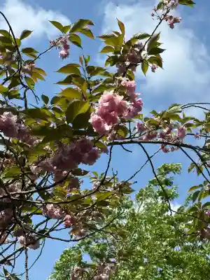 羽黒山神社(栃木県)