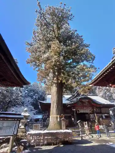 北口本宮冨士浅間神社(山梨県)