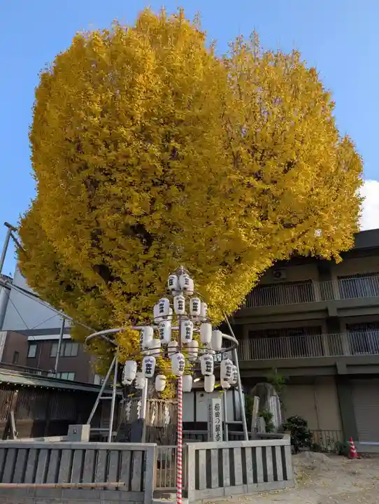 櫛田神社の自然