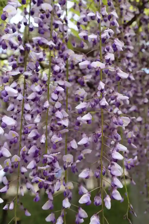 三大神社(滋賀県)