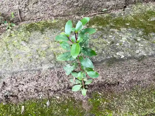 北野神社(福島県)