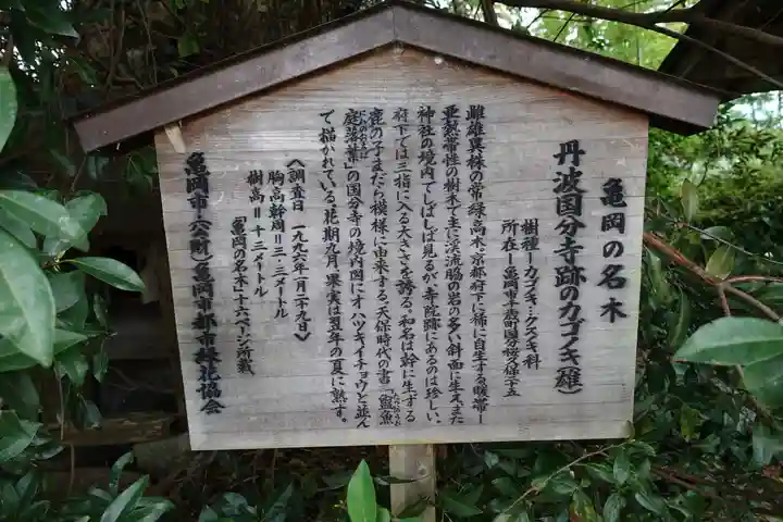 國分寺(国分寺)の歴史