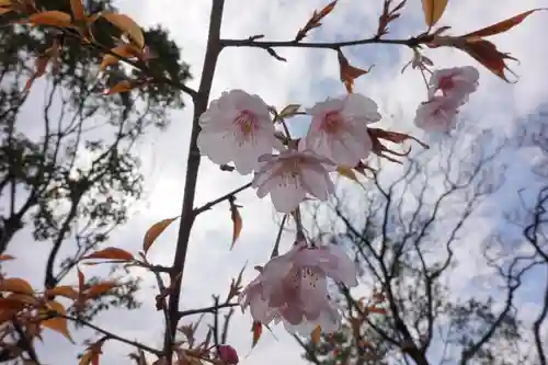 住吉大社の自然