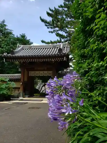 玄国寺の山門